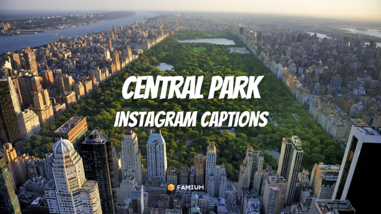 Instagram Captions for Central Park